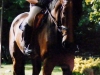 El_Greco2008