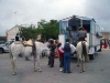 El Rocio2006