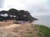 el Rocio 2006