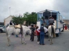 el Rocio 2006 el Rocio 2006