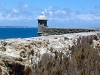 Cadiz10