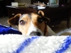 Milicky_Jan2007_1