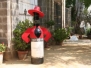 Besuch bei TioPepe
